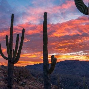 Meet your Posher, Anita